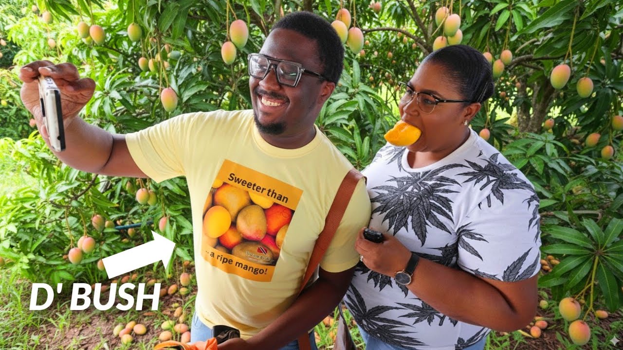 MANGOES ONLY AT THIS EVENT