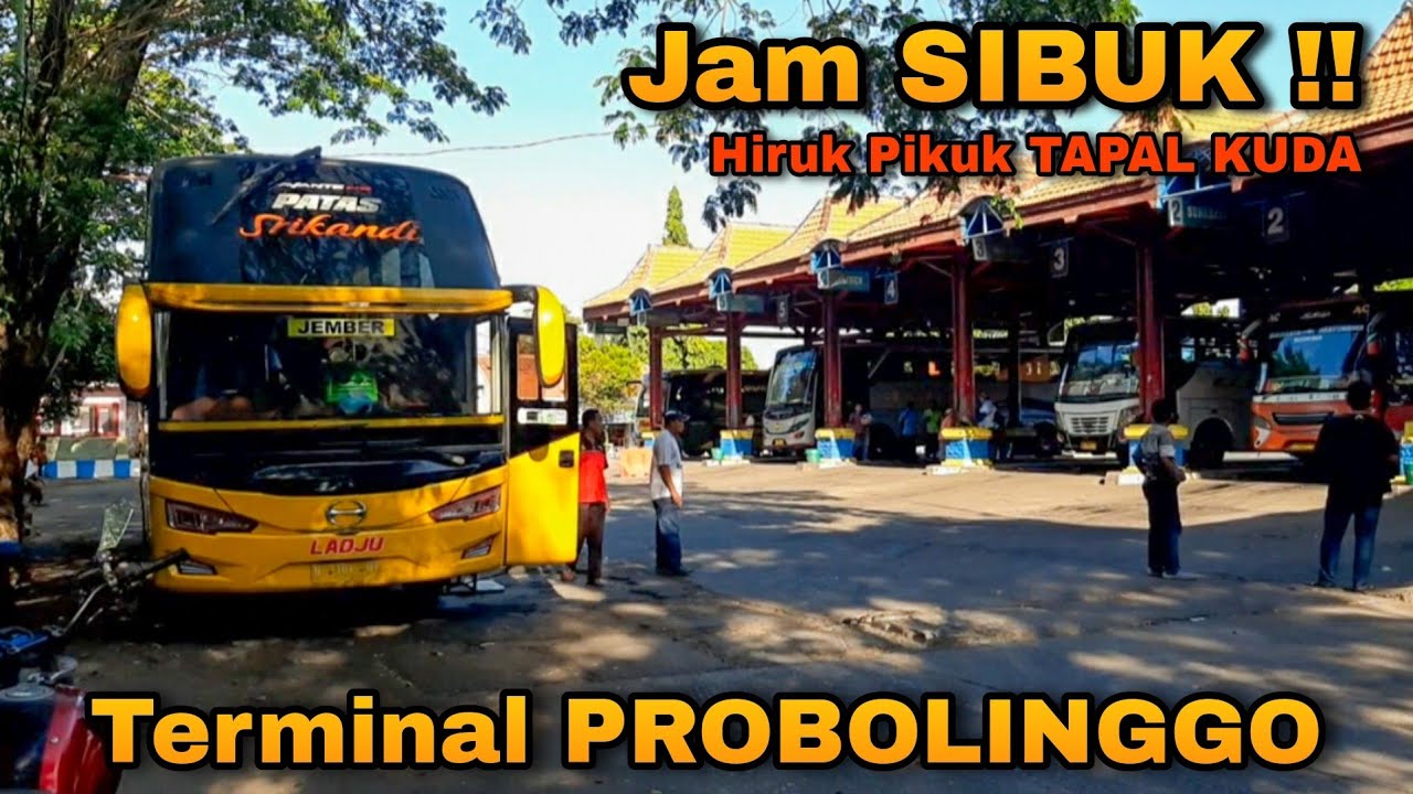 Jam SIBUK!! BUS ini DOMINAN Disini!! Pesona TERMINAL Probolinggo||Ladju,Akas,Restu