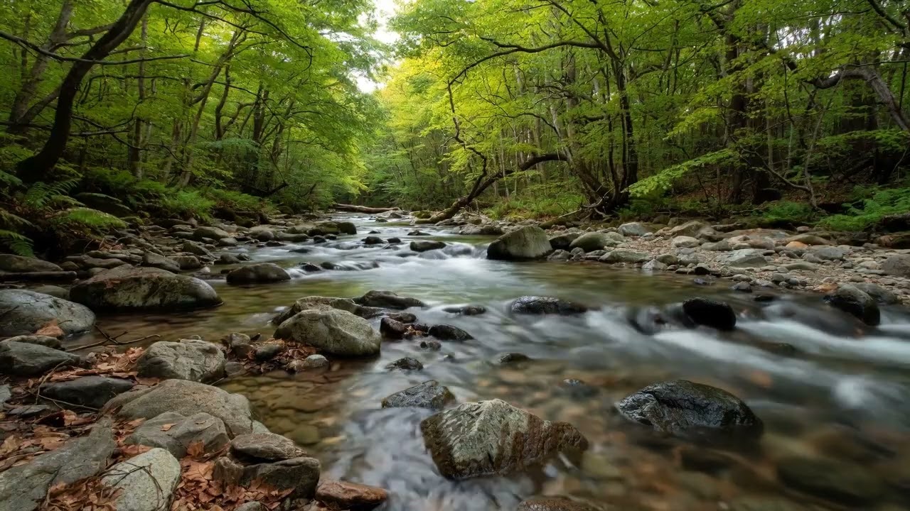 🤯 OVERWHELMED? Find INSTANT PEACE | Ultimate 8D Stress Reset Music (Binaural Beats)