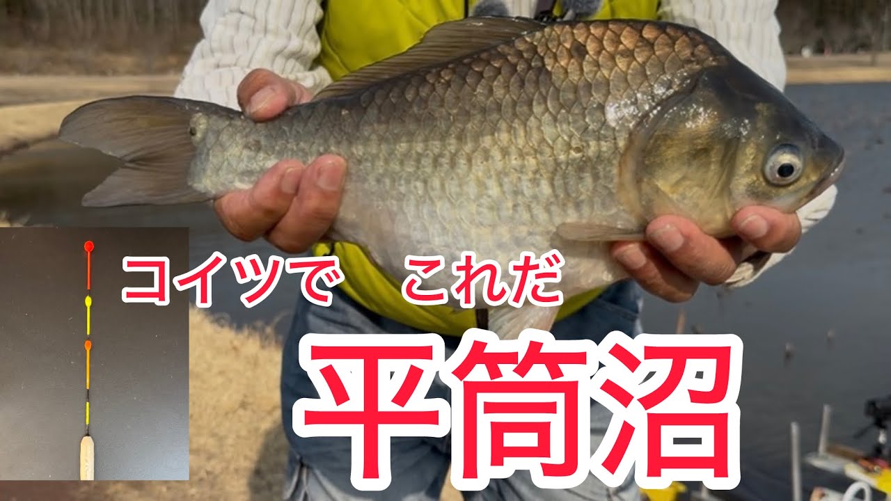 へら鮒釣り　平筒沼　デッカいの　ドン　自作浮き
