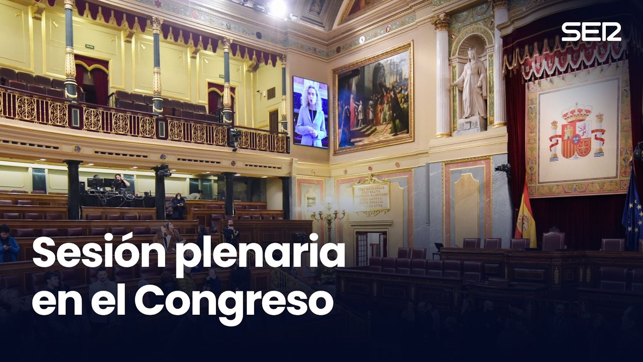 Pleno en el Congreso (12/02/2026)
