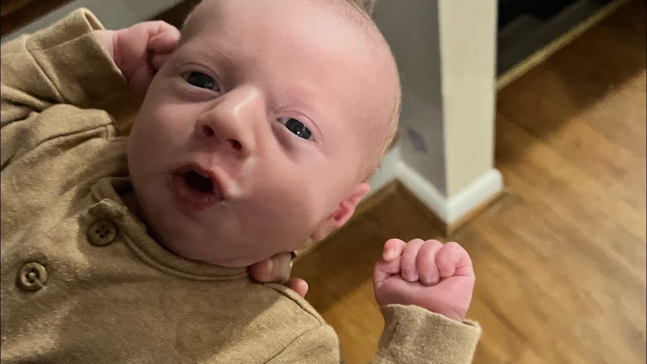 Teddys First Month February 2026