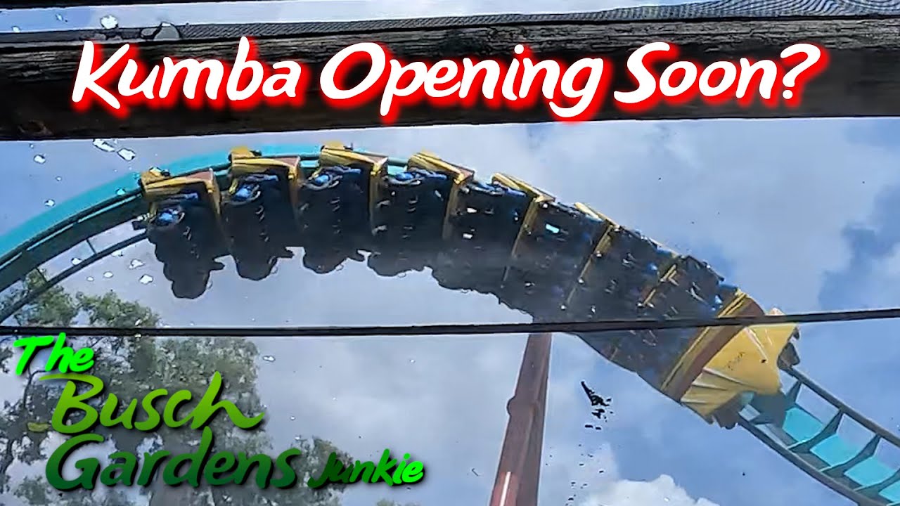 Kumba Opening Soon? #kumba #buschgardenstampa
