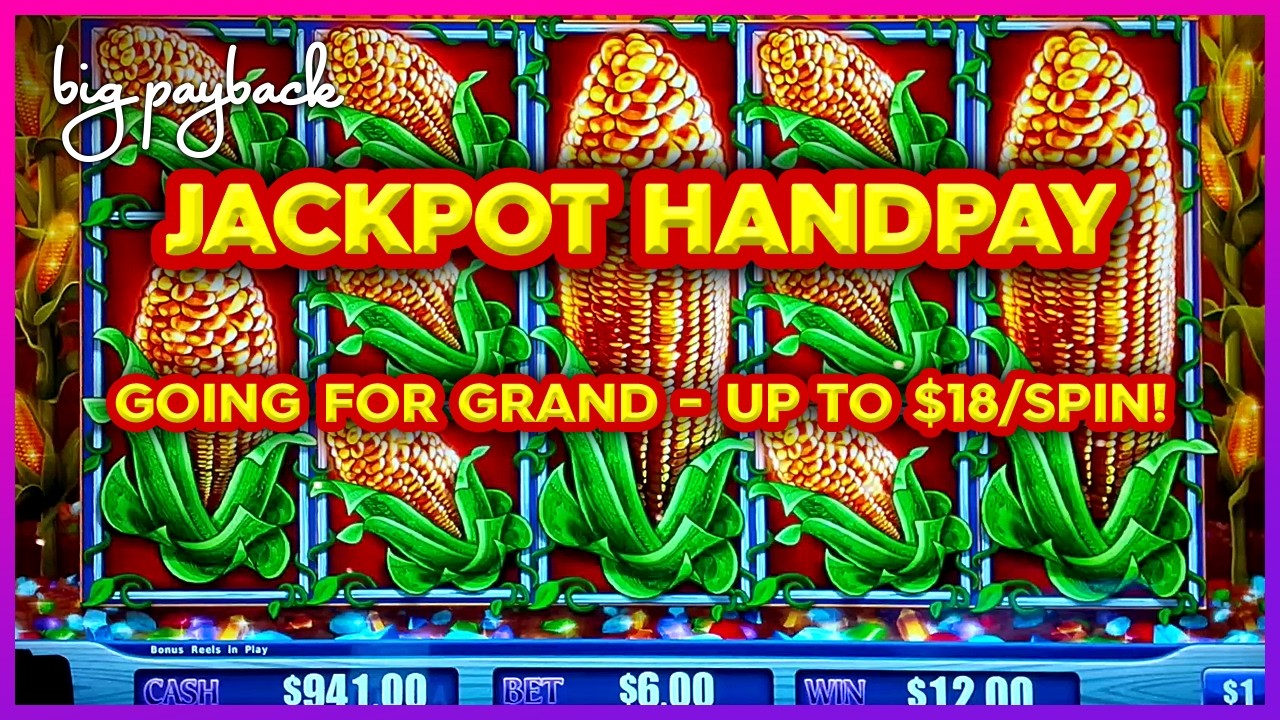 OMG JACKPOT! Going for MASSIVE GRAND on Cash Crop Slots!