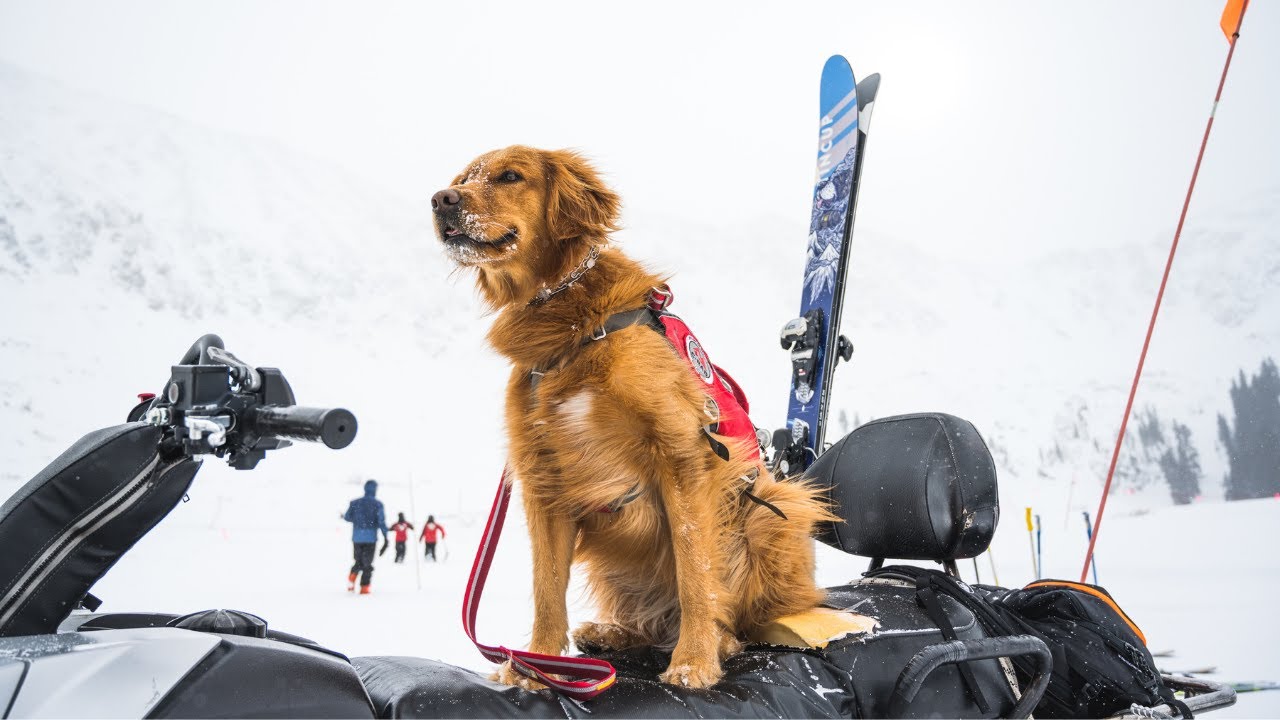 Tikka to the Rescue: Weston x TINCUP x National Ski Patrol