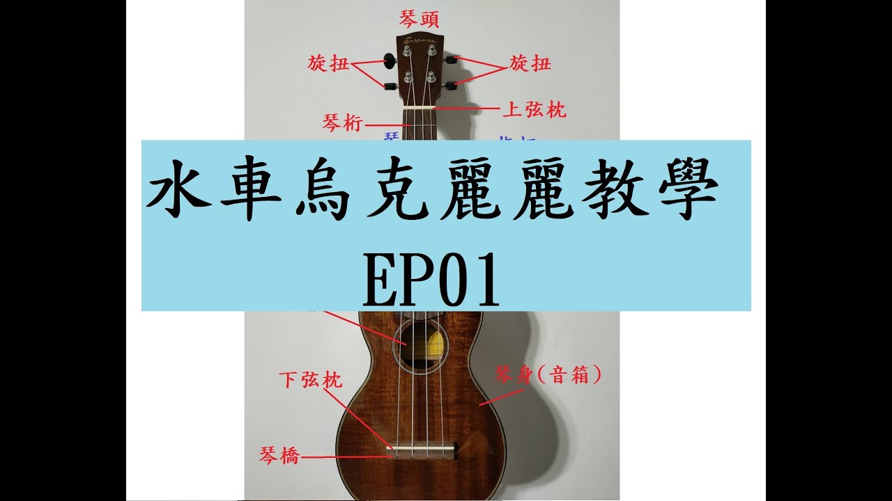 從0開始學烏克麗麗EP01~各部位介紹，持琴姿勢介紹~烏克麗麗教學