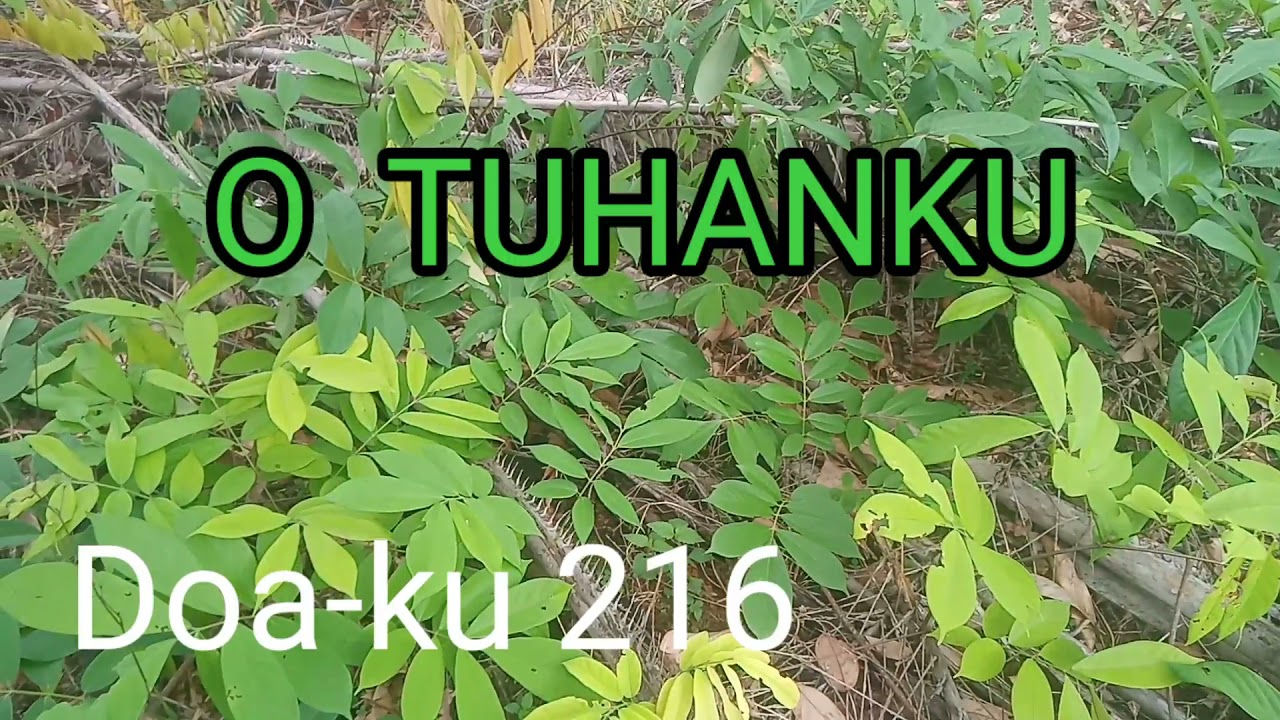 Doa-ku 216/O Tuhan ku/instrumen lagu rohani dengan lirik tanpa vokal/cover