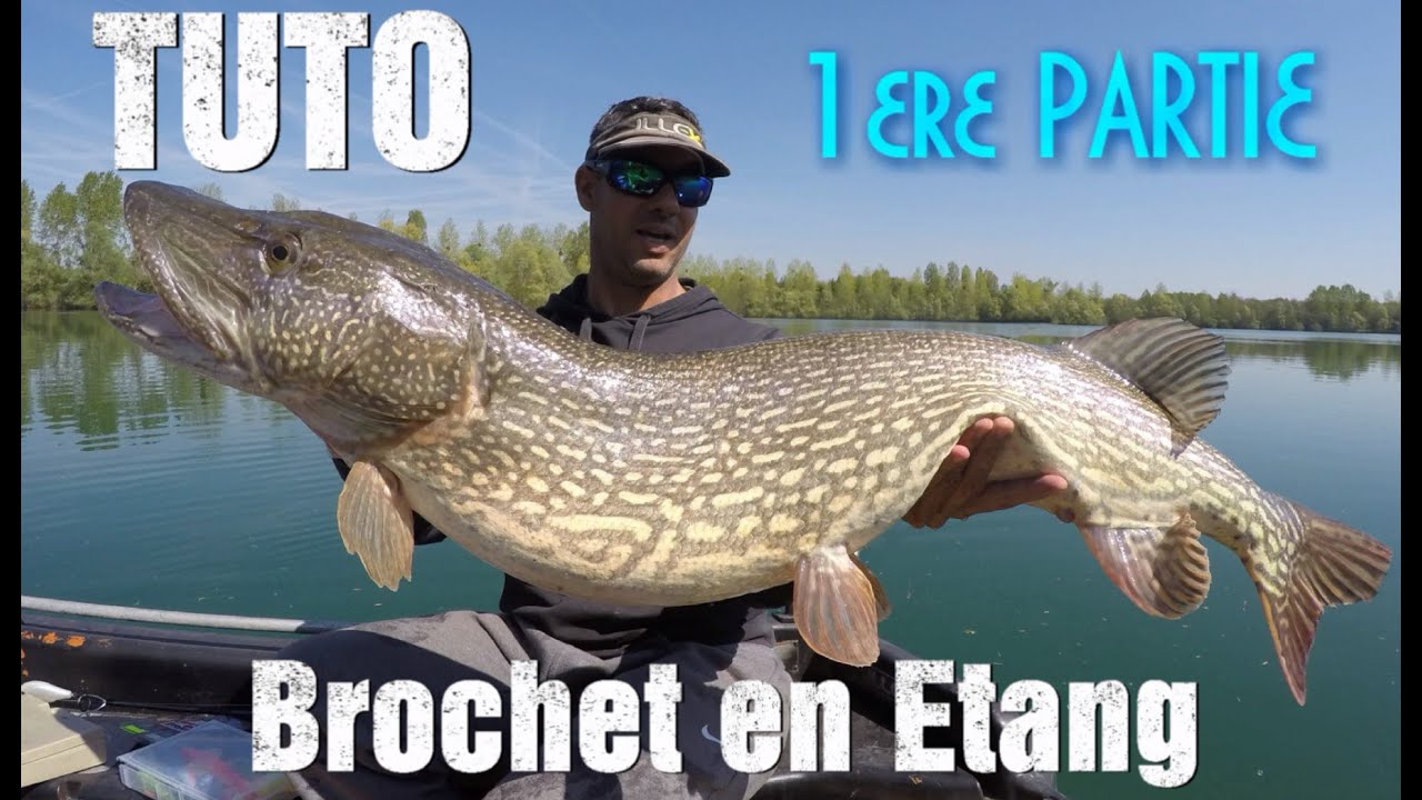 Techniques de pêche du brochet spécial Ouverture et printemps