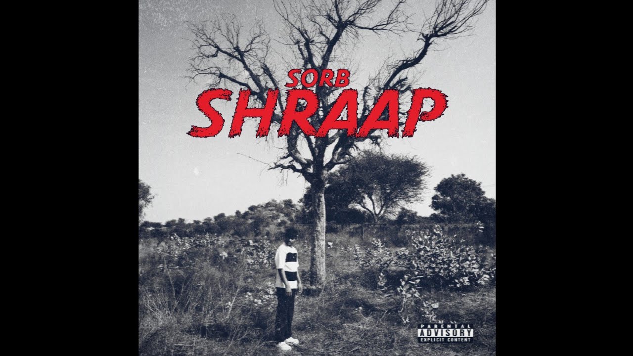 Sorb - Shraap | Song Visualizer | New hindi rap song