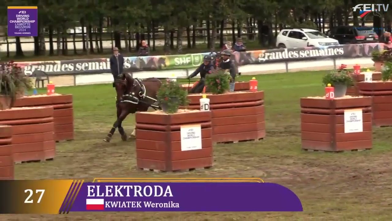 Elektroda   Weronika Kwiatek MŚMK 2024