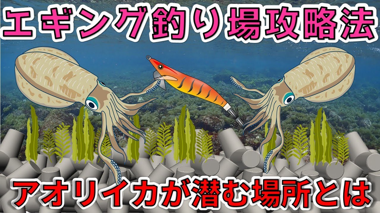 【エギング釣り場攻略法】アオリイカが潜む場所10選【春イカ】【Update版】