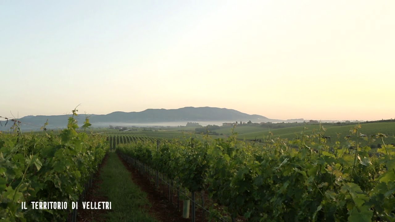Velletri - 