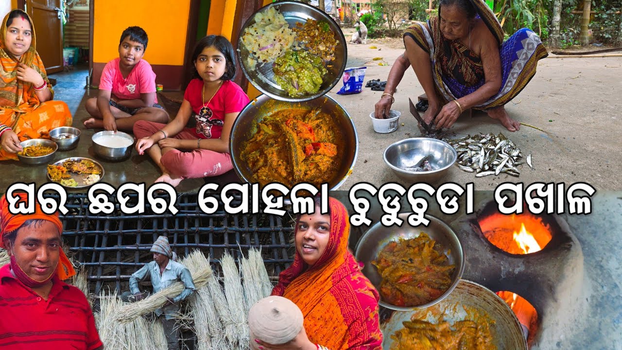 ଘର ଛପର l ପୋହଳା ମାଛ ଚୁଡୁଚୁଡା ଓ ଅଣ୍ଡା ପଖାଳ 😋 l ଗ୍ୟାସ୍ ମିଳିଲାନି l Pohala Machha Pakhala