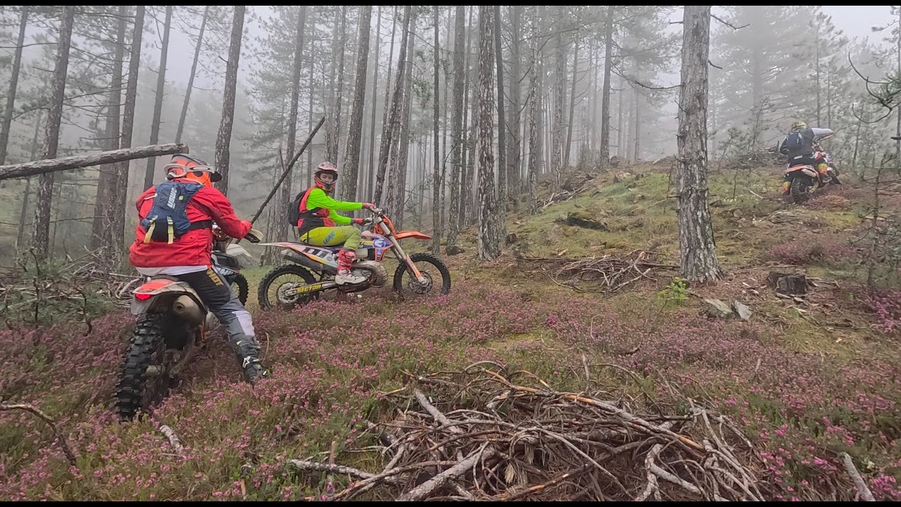 5 days with Sector Enduro in Serbia