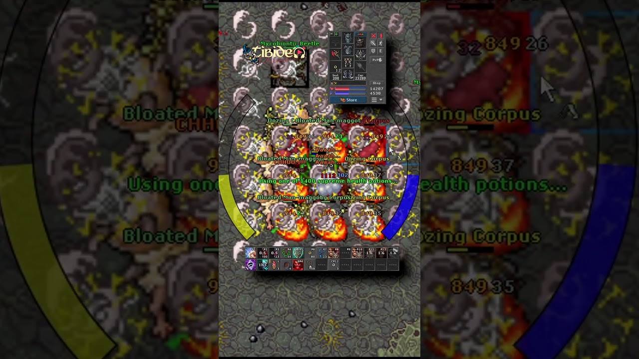 TIBIA / 1880 EK VS OOAZING CORPUS