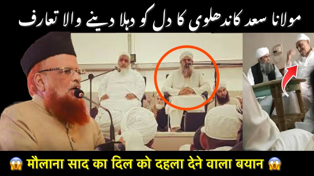 Maulana Saad Sahab || Mufti Taqi Usmani || Maulana Ibrahim Dewla || Tablighi Jamaat ||