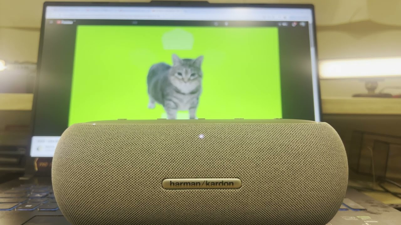 Harman Kardon LUNA   藍芽喇叭Unboxing測試單雙喇叭(OIIA OIIA)spinning cat#unboxing #harmankardon #4k #bluetooth