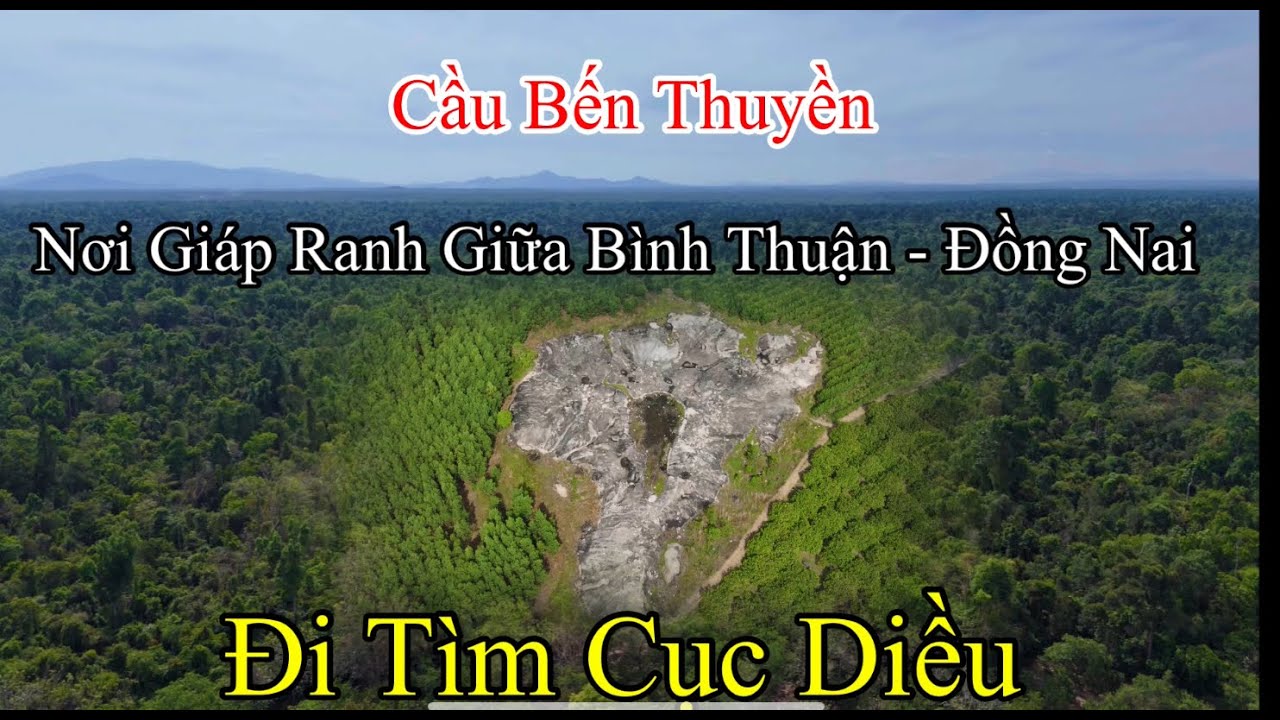 Cục Đá Diều ở Rừng Tân Phú Đồng Nai và đường rừng nối liền giữa Bình Thuận và Đồng Nai.