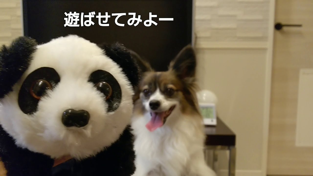 新しいオモチャ パンダ