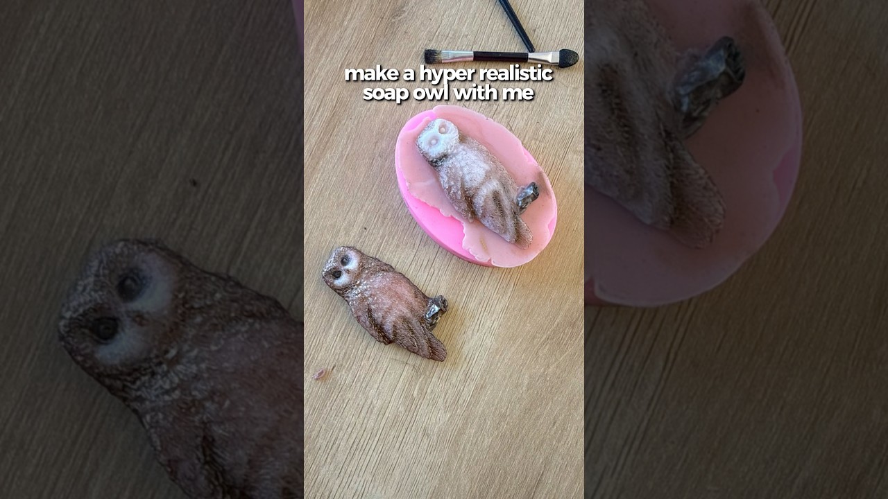 What should I name them? 🦉🖤 