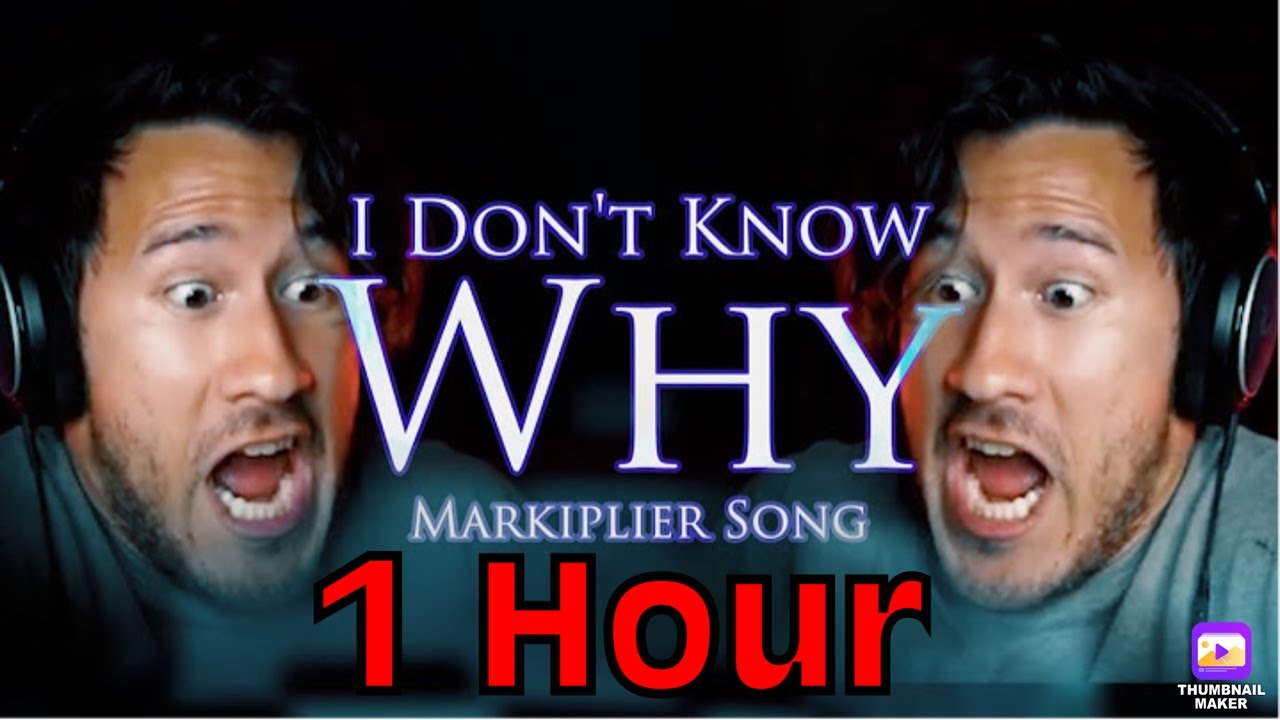 I DON'T KNOW WHY, 1 hour | Made By Endigo