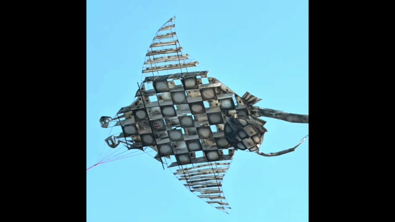kite festival at valvettiththurai/valvettiththurai patta thiruvizhaa #kitefestival