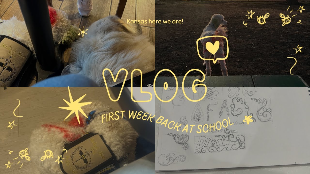 Back to school!