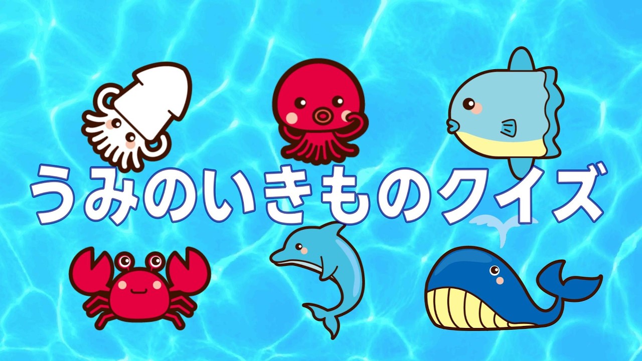 うみのいきものをおぼえよう！