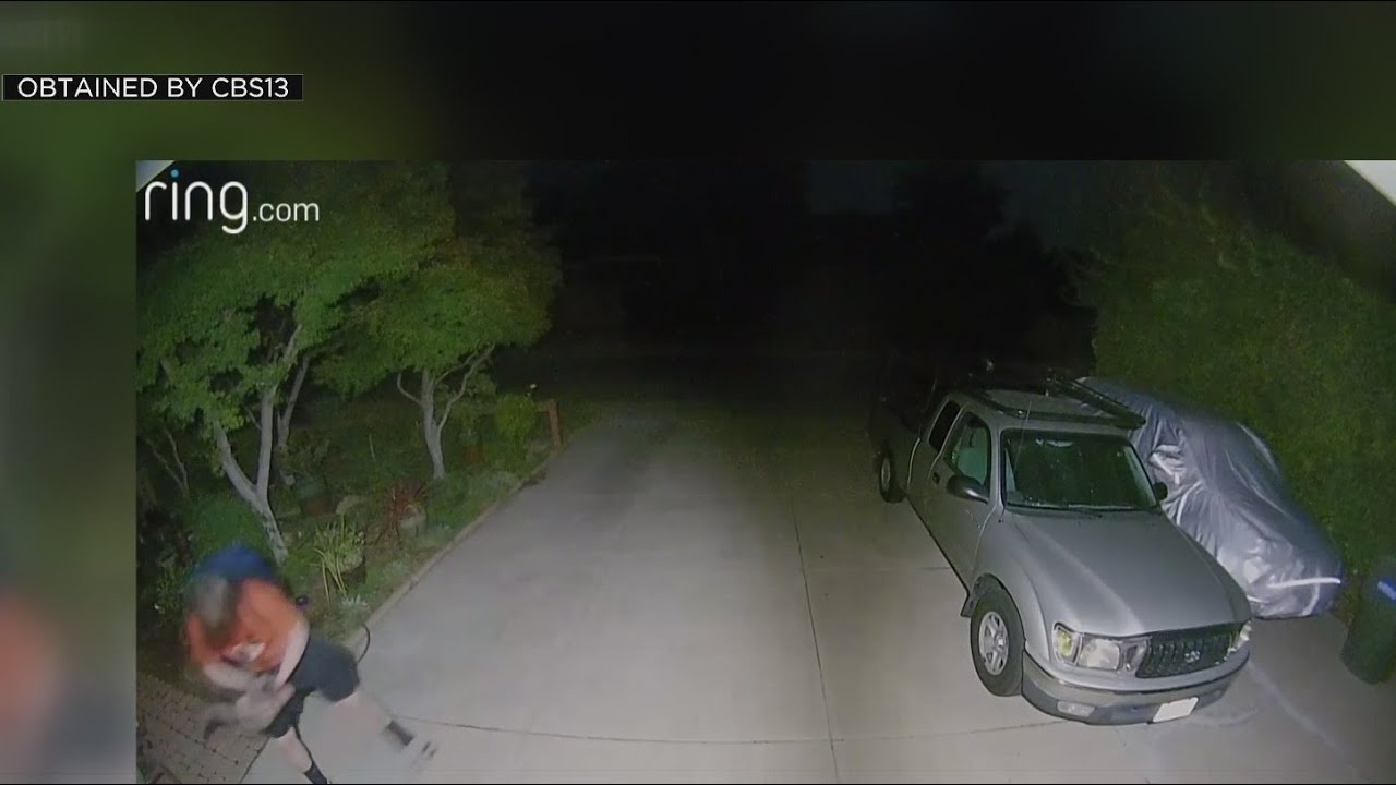 Surveillance shows Orangevale cat killer suspect taking another cat