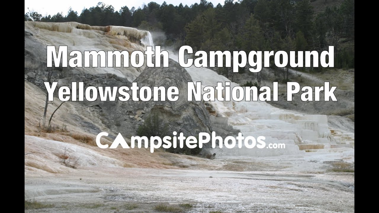 Mammoth Campground, Yellowstone National Park, Wyoming