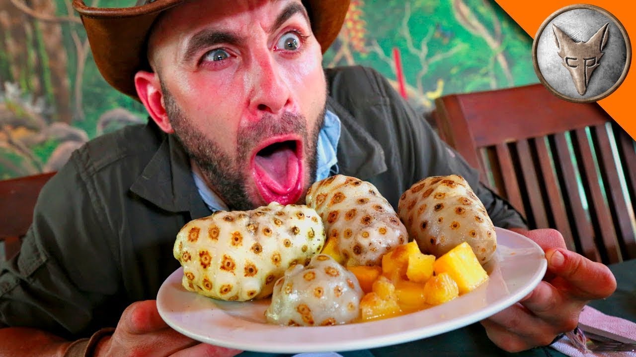 Wyzwanie Puke Fruit! Obrzydliwe! Czy Coyote zje Noni Fruit? | Brave Wilderness Polski