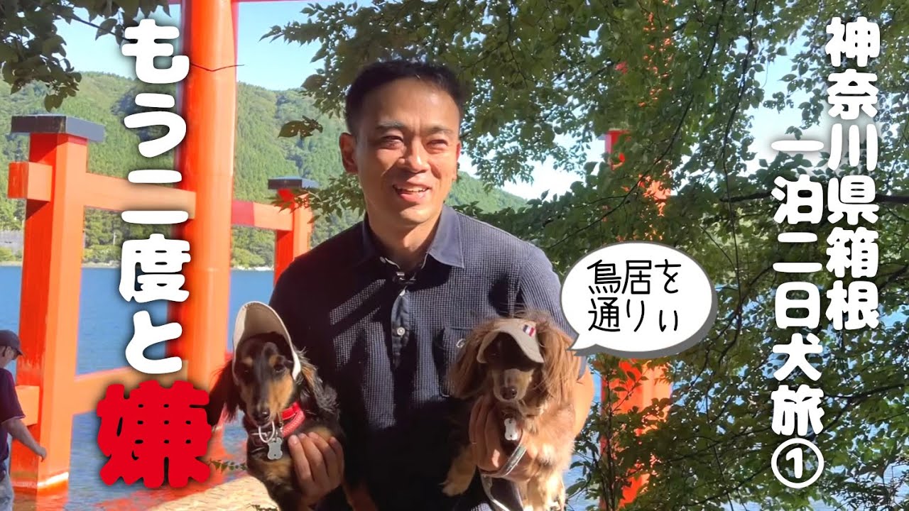 【犬連れ旅行神奈川箱根観光】二度と無理!心洗われる旅になるはずが。。箱根神社 箱根芦ノ湖遊覧船 箱根唐揚げKARATTO 成川美術館 1泊2日わんこ旅1/3 2023.7