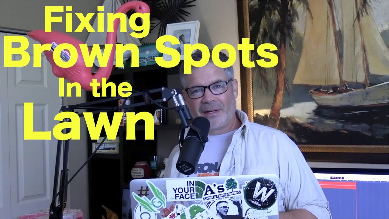 How to Fix Brown Spots in the Lawn | Bermuda Scars | Lawn Damage