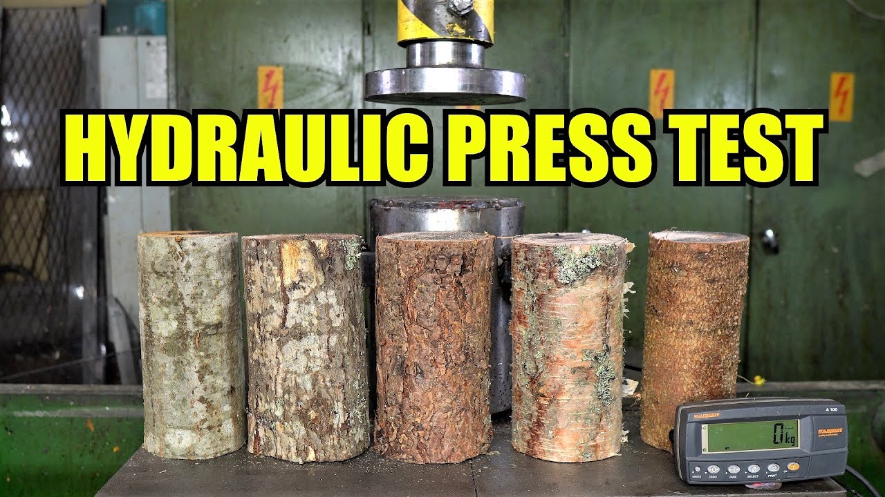 Which is the Strongest Tree? Hydraulic Press Test!