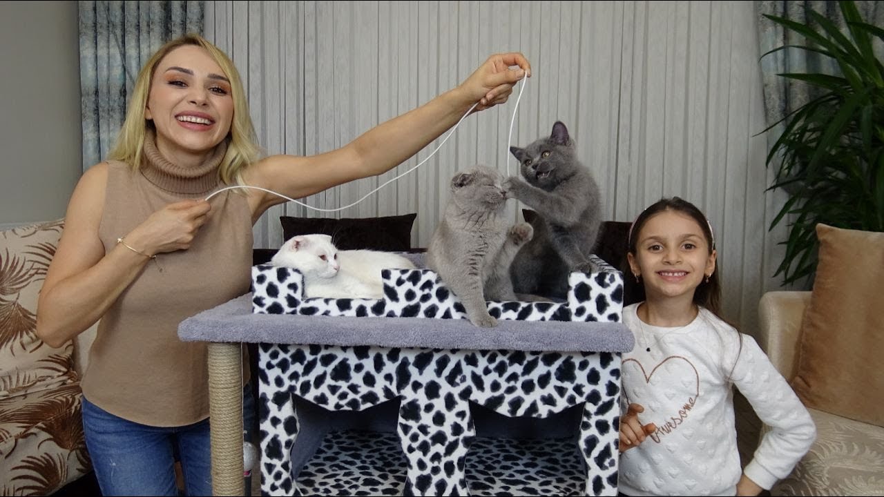 YAVRU KEDİLERİMİZİN İLK AŞILARI !! KEDİ EVİ ALDIK BAYILDILAR!!
