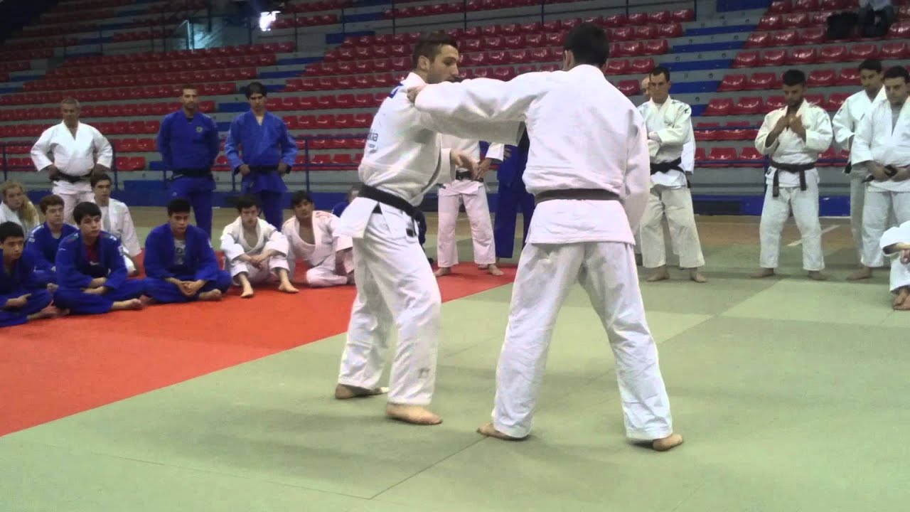 Uchi mata liparteliani en  Bilbao  orgsniza ohu