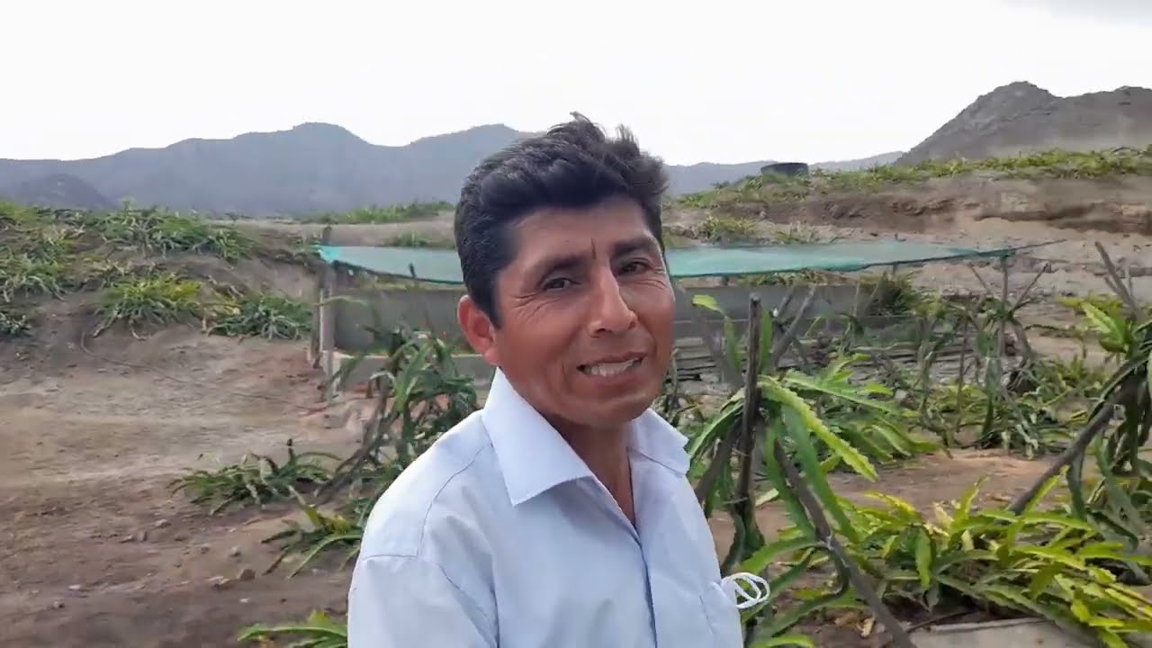 Paraíso de Las Pitahayas com Eng. Agr. Fernando Malpartida - Simposium Pitahaya - Peru Março/2022