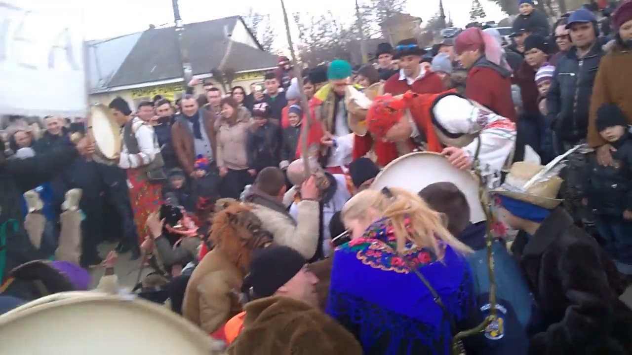 Mascatii LITENI 2017