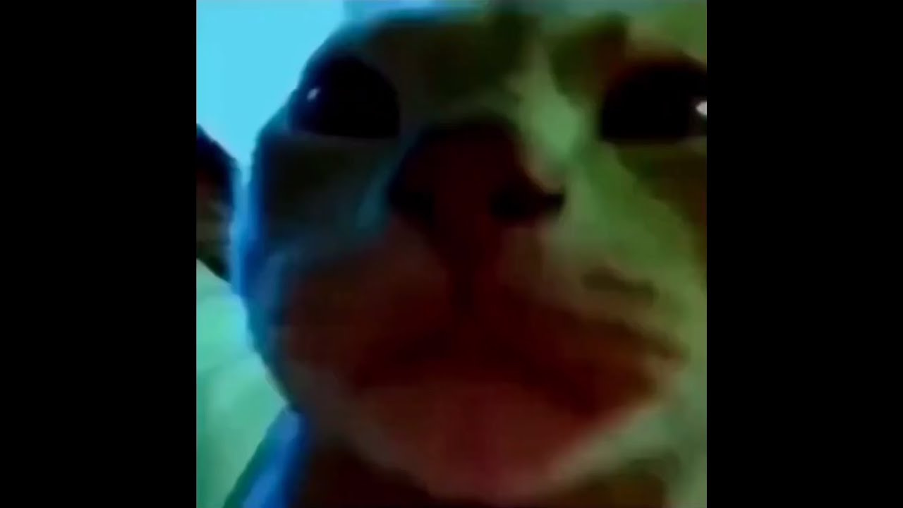 Caramelldansen (low quality)