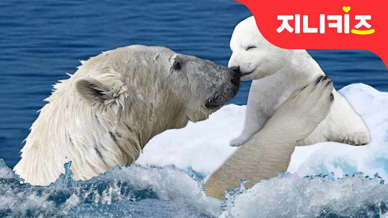 북극곰의 눈물 #1 | 북극의 얼음이 녹고 있어요 | 지구온난화 예방 실천방법 | 환경 동화★지니키즈