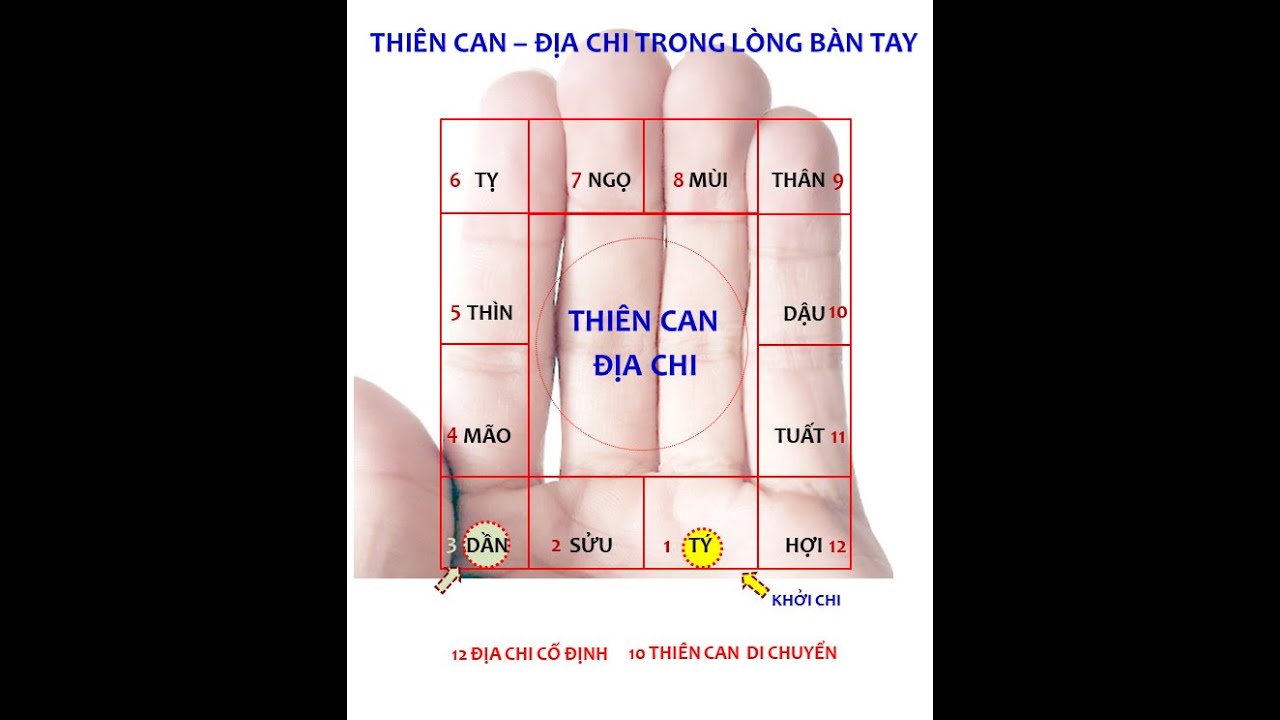 Cách nhẩm tính nhanh Thiên Can-Địa Chi (Phần1)#phongthuy #phongthuynhao #phongthủy #phongthủytàilộc