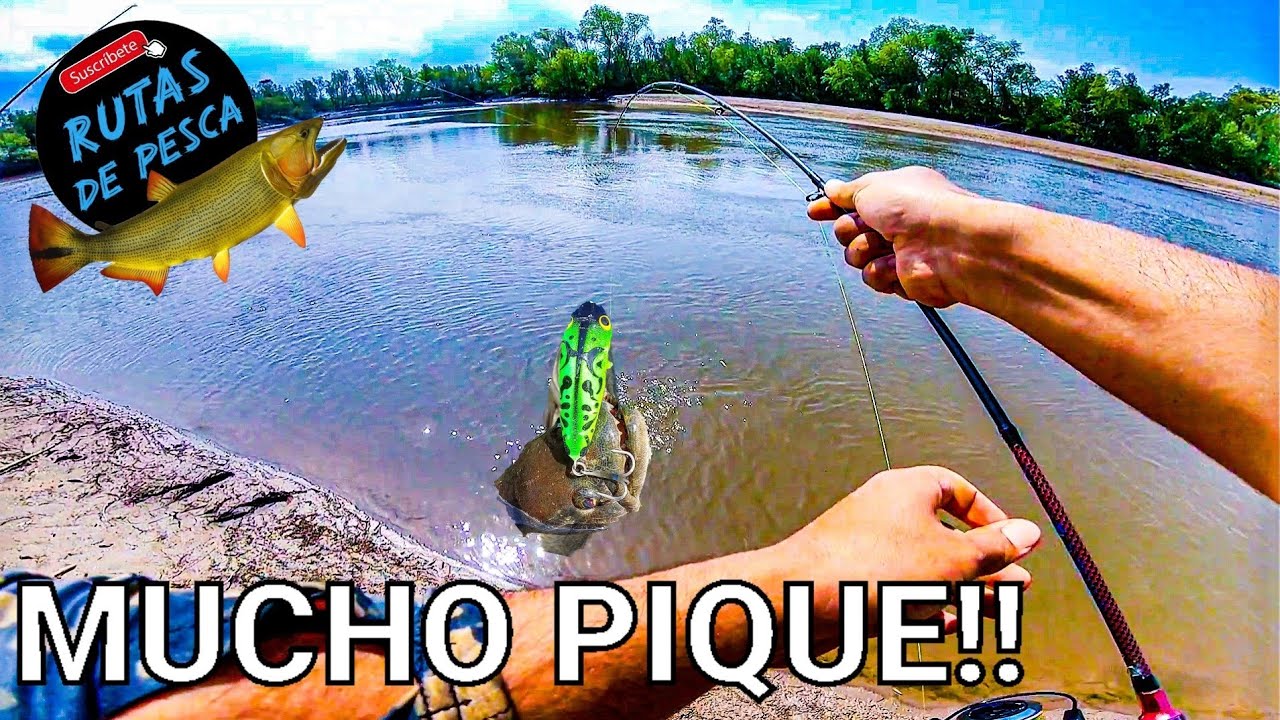 PESCA Y COCINA 🎣 🐟 JUNTA Matasambi y Río Marapa, El 14, Bagres, Bogas, Sabalos, Pirañas, Mojarras