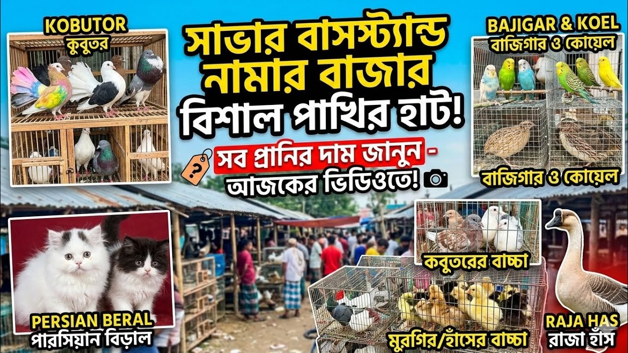সাভার নামার বাজারে কবুতর ও পাখির বর্তমান দামদর ২০২৬ | সাভার পাখির হাট।