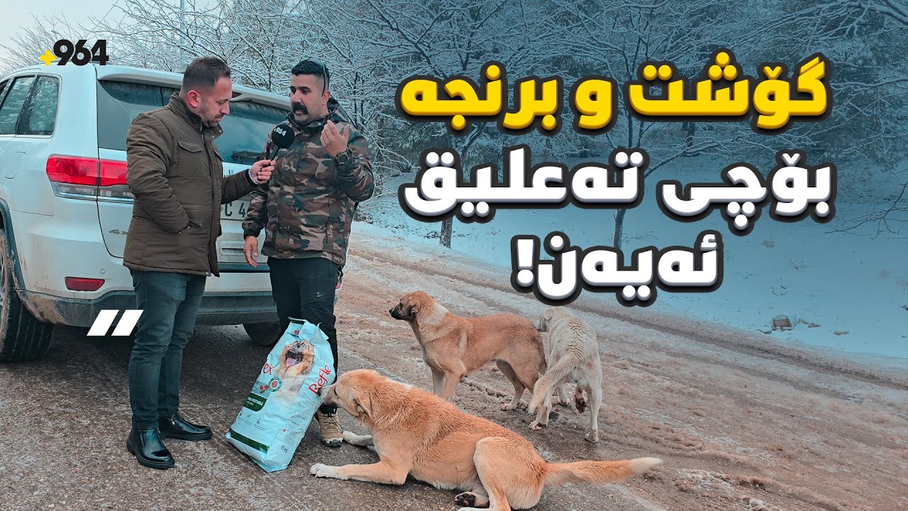 دیار پێت، لەم سەرمایەدا بڕێکی زۆر گۆشت و برنجی گەیاندە سەگە بێلانەکانی گۆیژە