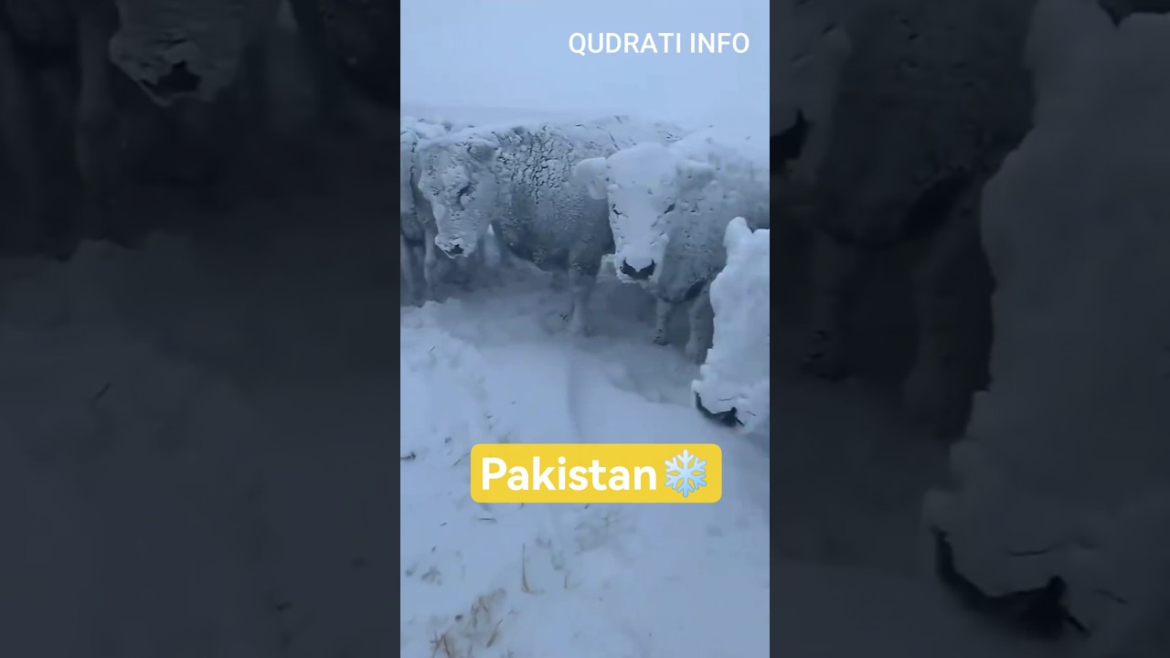 3 Coldest Cities of Pakistan #shorts #travel #tourism #weather