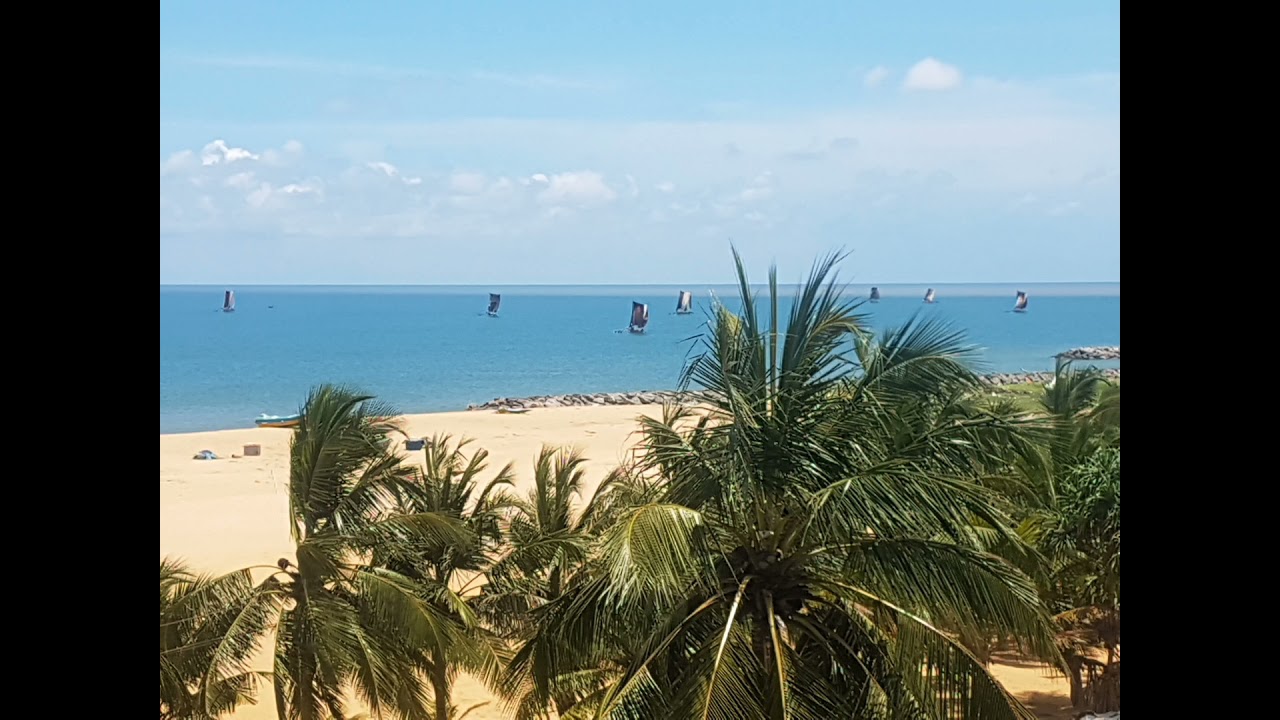 goldi sands to front view..