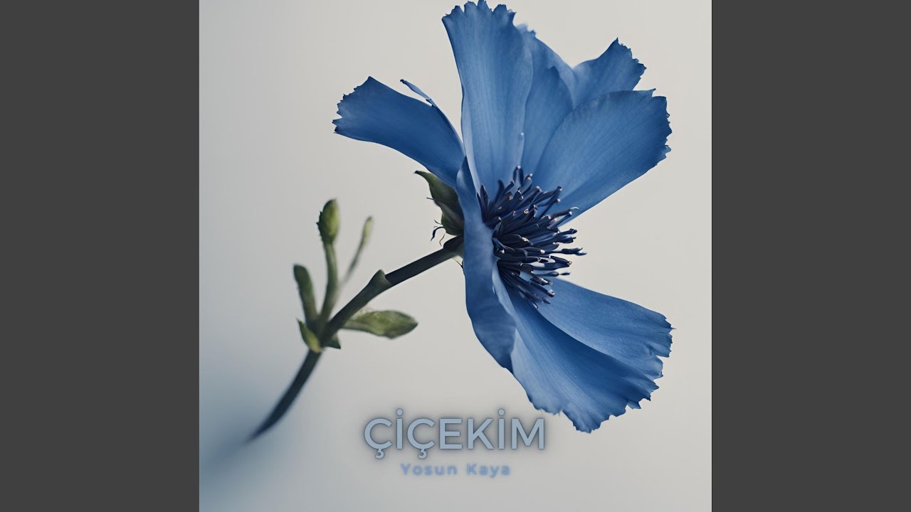 çiçekim