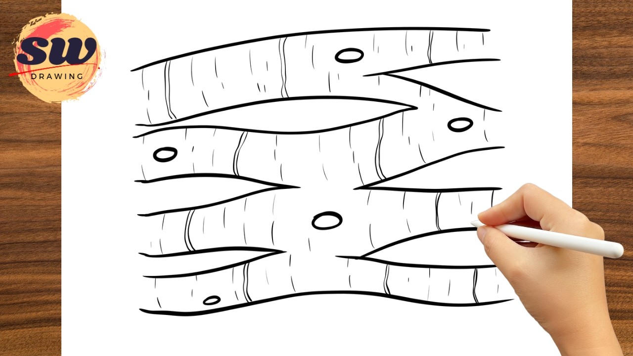 How to Draw Cardiac Muscle