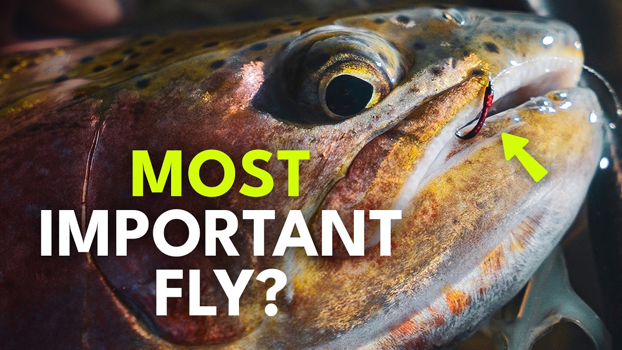 The Smallest Fly That Catches The Most Trout