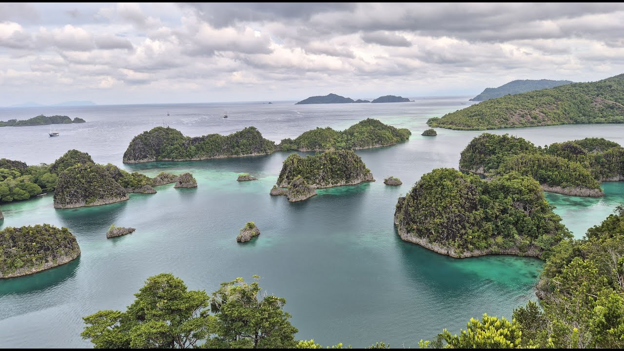 Nurkowanie Raja Ampat styczeń 2026 - Misool